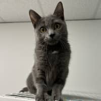 Photo of Vera