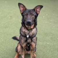 Photo of Bruce