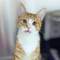 Photo of Ed