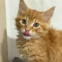 Photo of Marshall 🩵🧢🩵