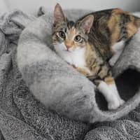 Photo of Sophie