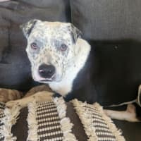 Photo of Rockefeller