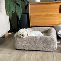 Photo of Beautiful Daisy 