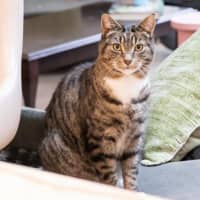 Photo of Louie Haliwell