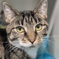 Photo of Tilly