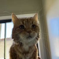 Photo of Harley