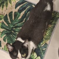 Photo of Coraline 