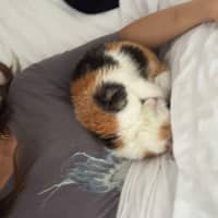 Photo of Nami