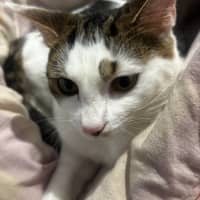 Photo of Francesca