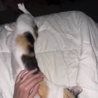 Photo of Moira