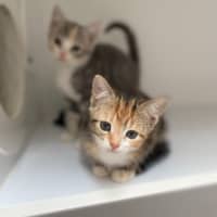 Photo of Helsinki (9961)