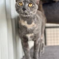 Photo of Coco