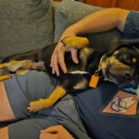 Photo of Emmy 