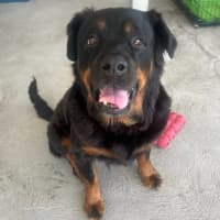 Photo of Maggie May
