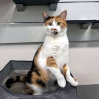 Photo of Keisha Sta014144