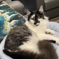 Photo of Handsome Huey