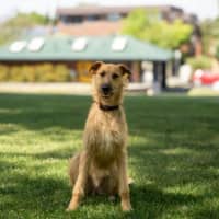 Photo of Rocky Gainsborough