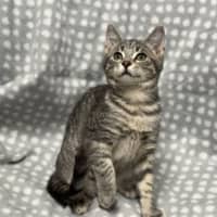 Photo of Issy