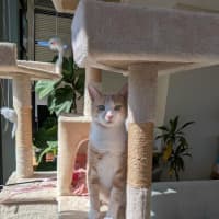 Photo of Mr Bubbles