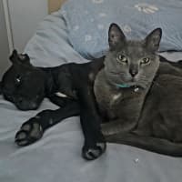 Photo of Churro