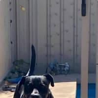 Photo of Big Bear