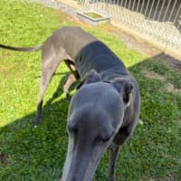 Photo of Wally