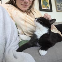 Photo of Stevie Mitts