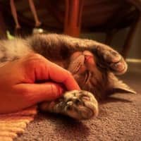 Photo of Valyria Emmie