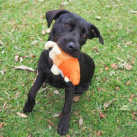 Photo of Lilly Now Rhuma