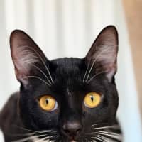 Photo of Tiggy