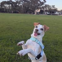 Photo of Cali Firebrace