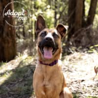 Photo of Lilly