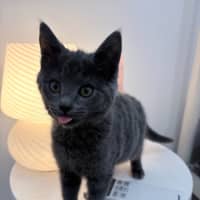 Photo of Ella Bleu