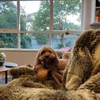 Photo of Winston Quinell