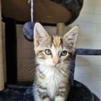 Photo of Wilma