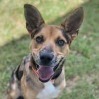 Photo of Maggie   Mae 