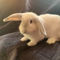 Photo of Marilyn Bunroe