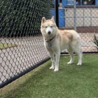 Photo of Suko