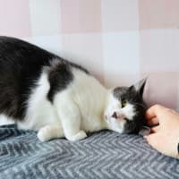 Photo of Bonnie   Located In Preston