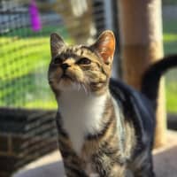 Photo of Itty