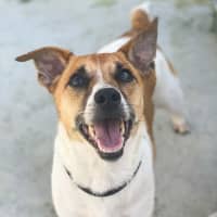 Photo of Sam