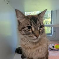 Photo of Dora