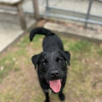 Photo of Buddy 