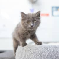 Photo of Wilma (Previously Lightning)