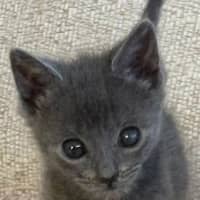 Photo of Wafer And Et