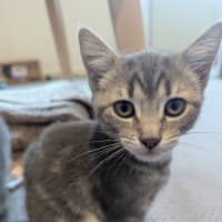 Photo of Maya Scotty