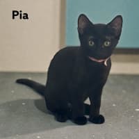 Photo of Pia