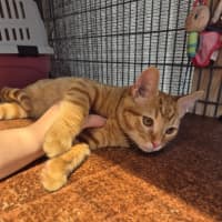 Photo of Monkey! 🦧 