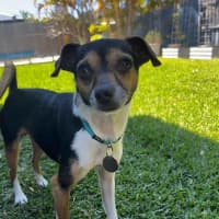 Photo of Sprout