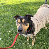 Photo of Tex 